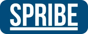 Payment Pro VN logo